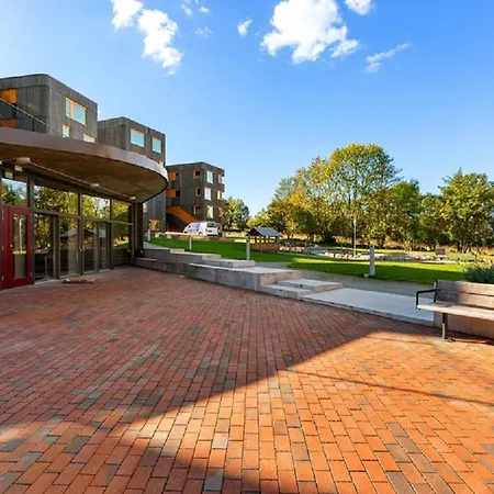 Affittacamere 7,3sq Mts -forests Cozy House *